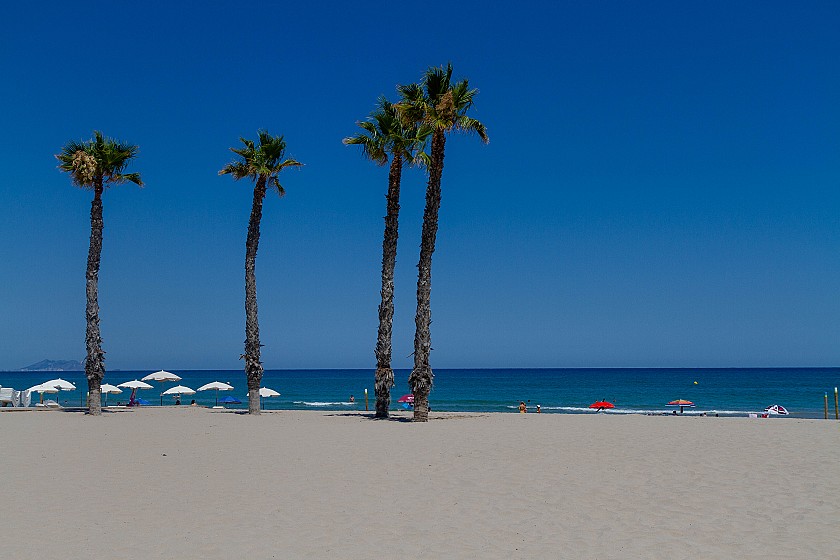 Playa - Hotel Castilla Alicante